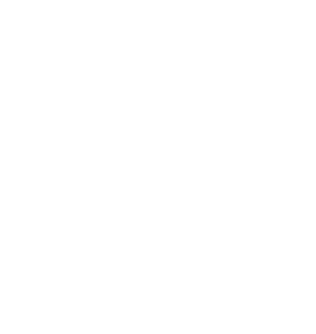 stryx logo
